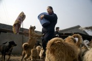 imagebam.com