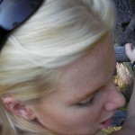 Amateur Pictures