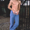 imagebam.com