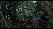 6eb6c784038097.gif