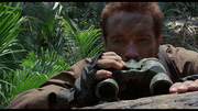 d8c0d984038083.gif